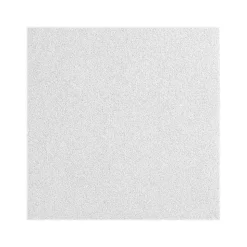 Armstrong CALLA Health Zone Square Edge Ceiling Tile 15/16, 24" x 48", White, 6/Carton (BP2233)