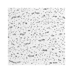 Armstrong FISSURED Square Lay-In Edge Ceiling Tile, 24" x 24", White, 16/Carton (BP756A)