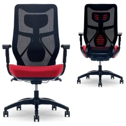 Beautyrest Duo-EX Ergonomic Mesh Swivel Computer Chair, Red (60051-RED)