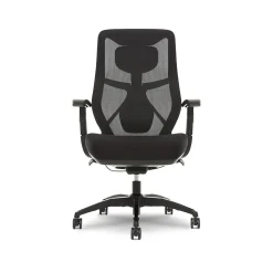 Beautyrest Duo-EX Ergonomic Mesh Swivel Task Chair, Black/Gray (60051GRY)