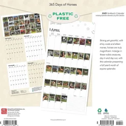 BrownTrout 2025 365 Days of Horses 12" x 12" Monthly Wall Calendar (9781975477165) Online