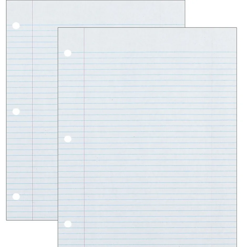 Ecology College Ruled Filler Paper, 8.5" x 11", 3-Hole Punched, 500 Sheets/Pack, 2 Packs/Bundle (PAC2417-2) Outlet