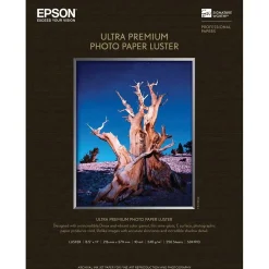 Epson Premium Luster Photo Paper, 8.5" x 11", 250 Sheets/Pack (S041913)