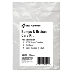 First Aid Only Bumps and Bruises Care Kit,3 Pieces, 25 Packs/Carton (91577)