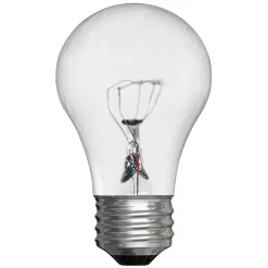 GE Lighting 40 Watts Clear Incandescent Bulb (15206)