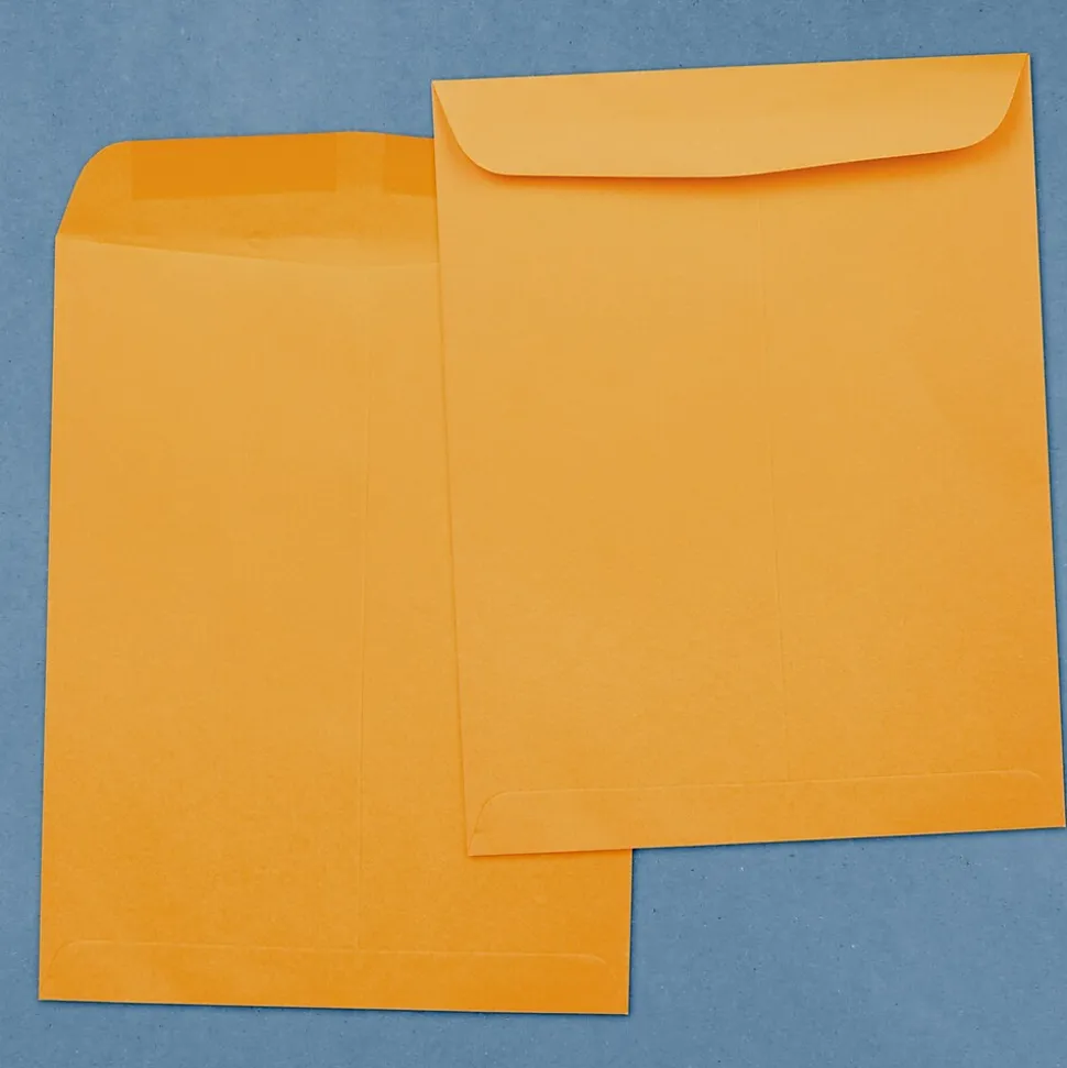 JAM Paper #15 1/2 Catalog Envelope, 12" x 15 1/2", Brown Kraft, 100/Pack (900493255)