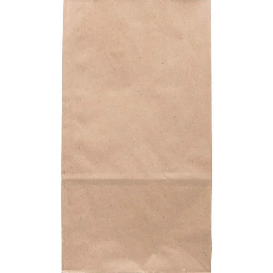JAM Paper Kraft Lunch Bag, Large, 6" x11" x 3.5", Brown, 500/Pack (692KRBRB) Outlet