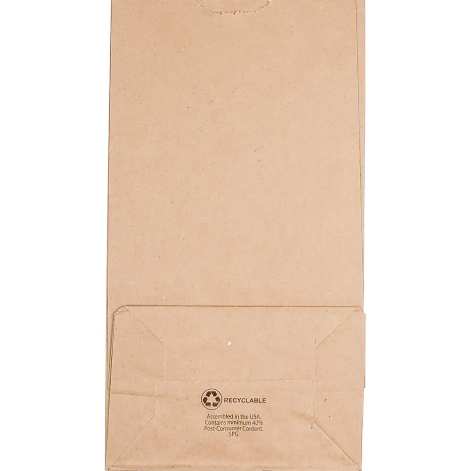 JAM Paper Kraft Lunch Bag, Large, 6" x11" x 3.5", Brown, 500/Pack (692KRBRB) Outlet