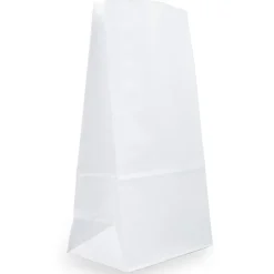 JAM Paper Kraft Lunch Bags, Large, 6" x 11" x 3.5", White, Bulk 500 Bags/Box (692KRWHB) Best