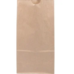 JAM Paper Kraft Lunch Bags, Medium, 9.75" x 5" x 3", Brown Kraft Recycled, 25/Pack (691KRBR) Outlet