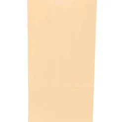 JAM Paper Kraft Lunch Bags, Medium, 5" x 9.75" x 3", Ivory Kraft, Bulk 500 Bags/Box (691KRIVB) Clearance