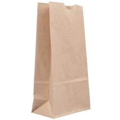 JAM Paper Kraft Lunch Bags, 8" x 4.25" x 2.25", Brown, 500/Pack (690KRBRB) Hot