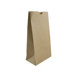 JAM Paper Kraft Lunch Bags, 8" x 4.25" x 2.25", Brown, 500/Pack (690KRBRB) Hot
