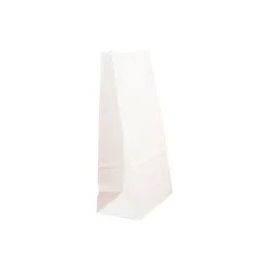 JAM Paper Kraft Lunch Bags, 9.75" x 5" x 3", White, 500/Box (691KRWHB) New
