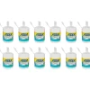 2XL Corp Force2 Disinfecting Wipes, 220 Wipes/Container, 12/Carton (MC7070)