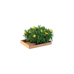15" x 12" x 1.75" Corrugated Trays, 32 ECT, Brown, 50/Bundle (15122CT)